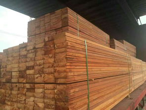 正宗澳洲贾拉木市场价格解析与建材批发指南